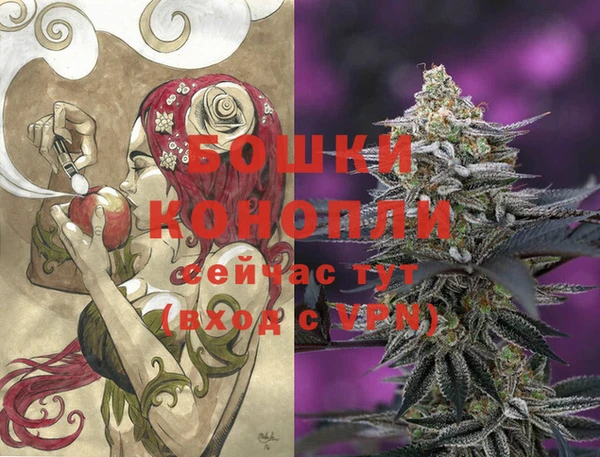 ПСИЛОЦИБИНОВЫЕ ГРИБЫ Белоозёрский