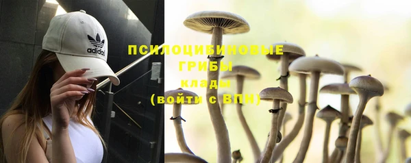 первитин Беломорск
