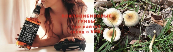 MDMA Белокуриха